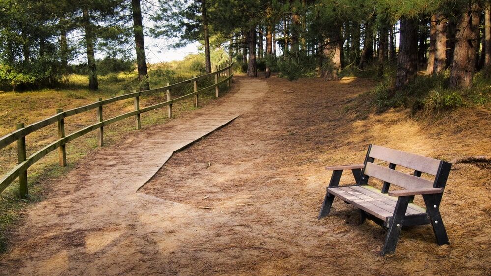 Quiet natural area perfect for introspection and relaxation-min