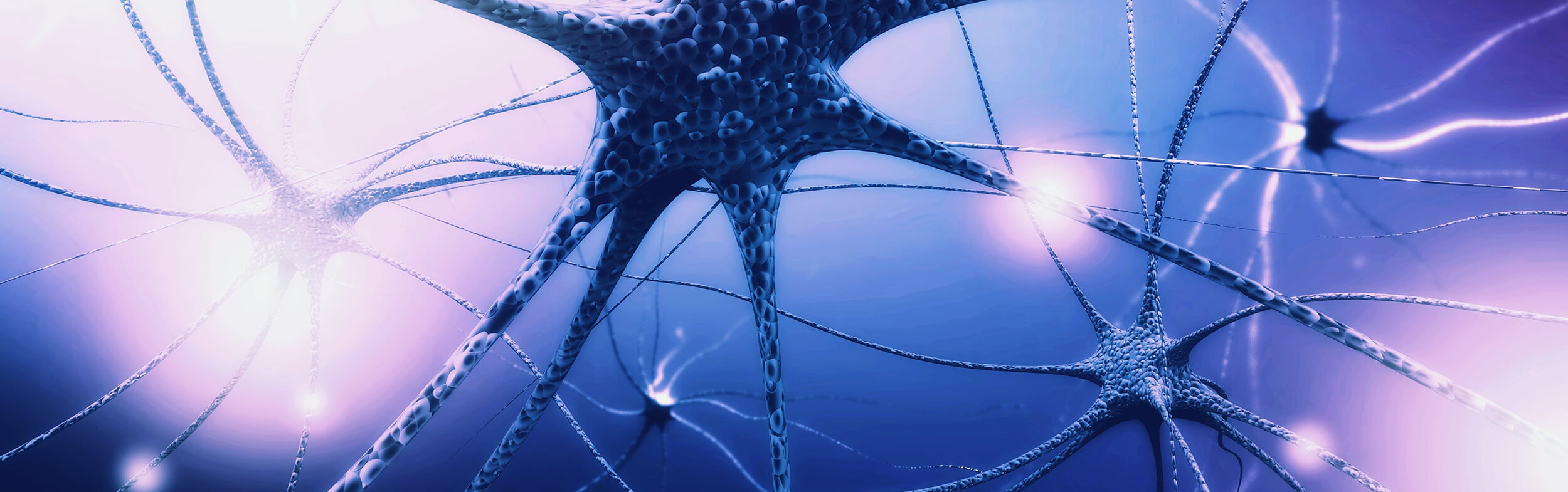 How Long Does Adderall Stay in Your System?